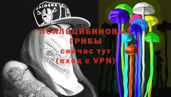 ALPHA PVP Алексин
