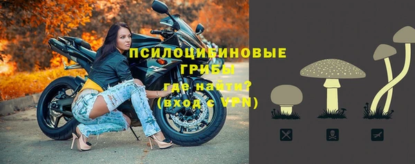 ALPHA PVP Алексин