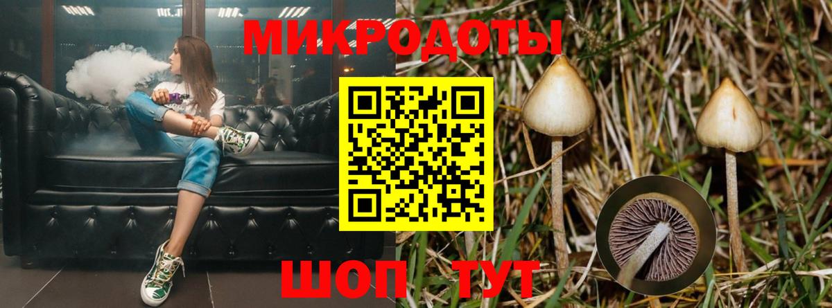 Псилоцибиновые грибы Psilocybine cubensis  Вход с VPN  Арзамас  Псилоцибиновые грибы Magic Shrooms 