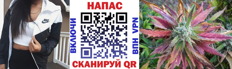 Бошки Шишки AK-47  что такое наркотик  Арзамас 